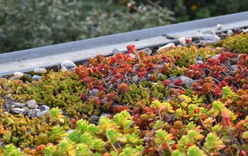 the cost of Hellesdon green roof installation