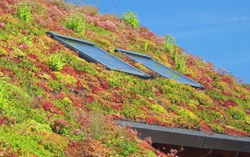Hellesdon living roof systems